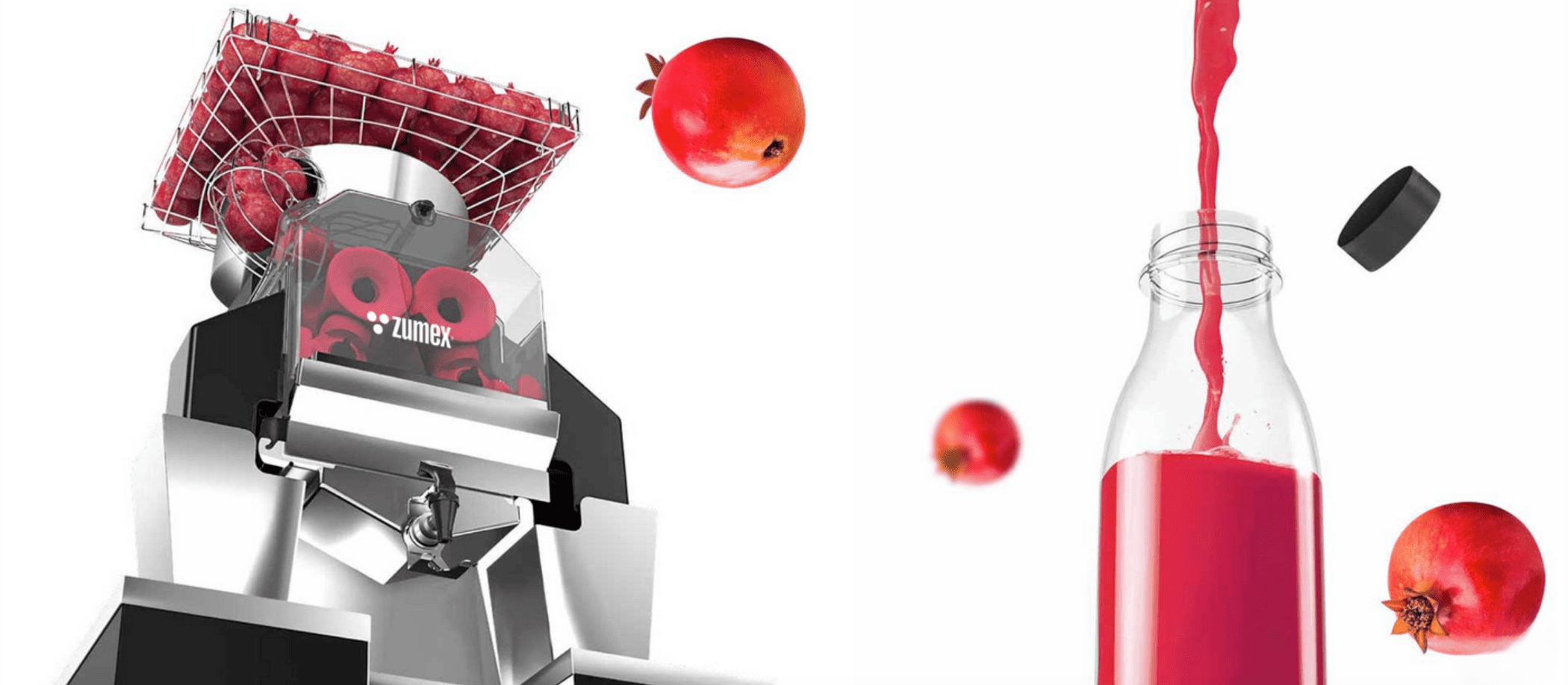 Feature 2 - SPEEDPOMEGRANATES