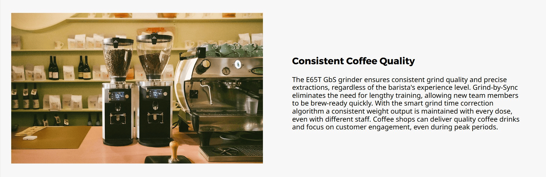 Feature 3 - E65T-GBS