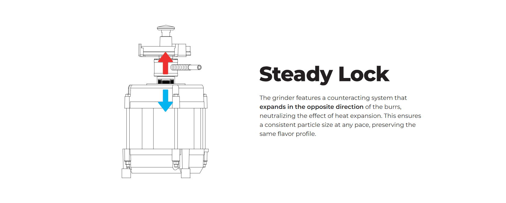 Feature 6 - REVSERIES