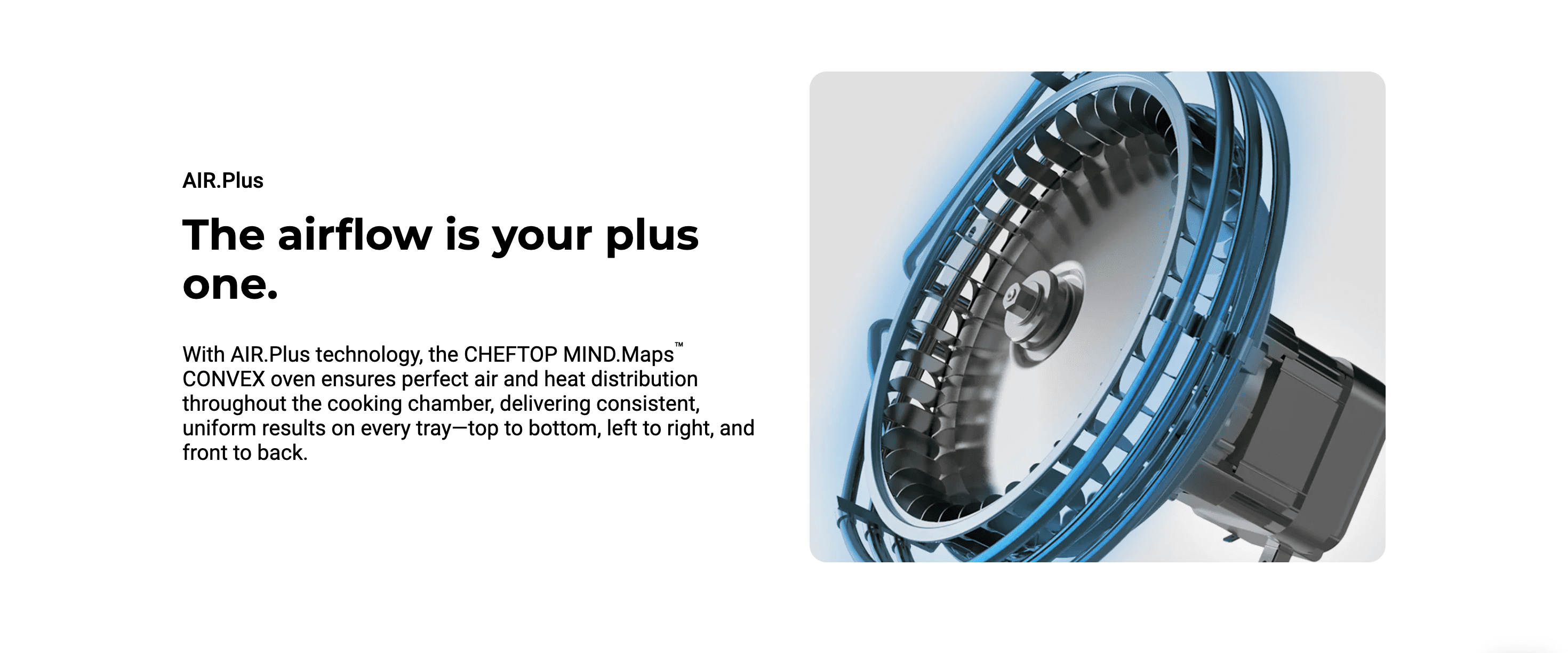 Feature 10 - CHEFTOPMIND.MAPSCONVEX