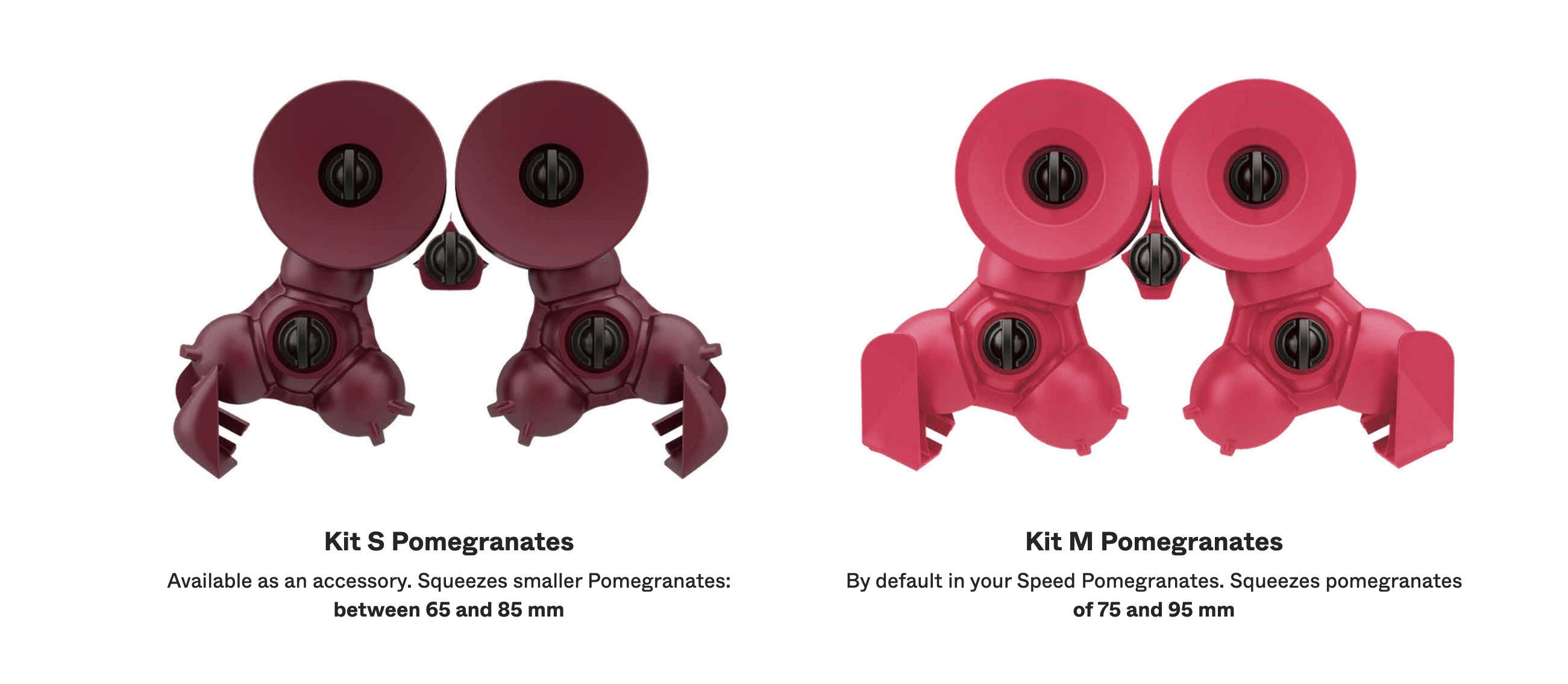 Feature 7 - SPEEDPOMEGRANATES