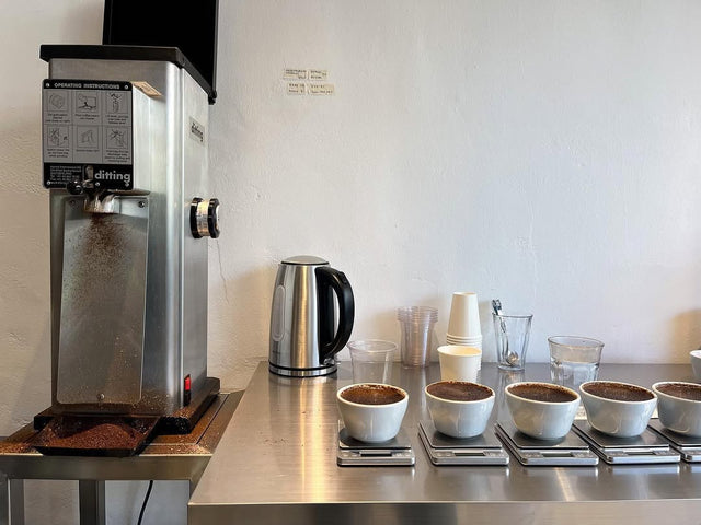 Ditting KR1403 Shop Grinder — White