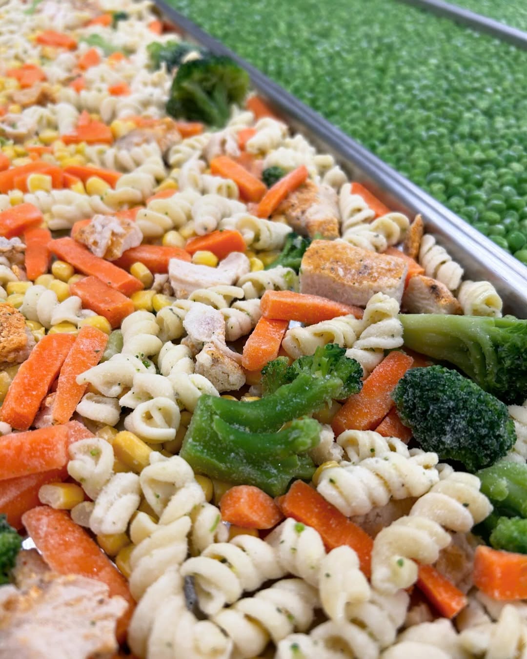 Freeze dried chicken pasta