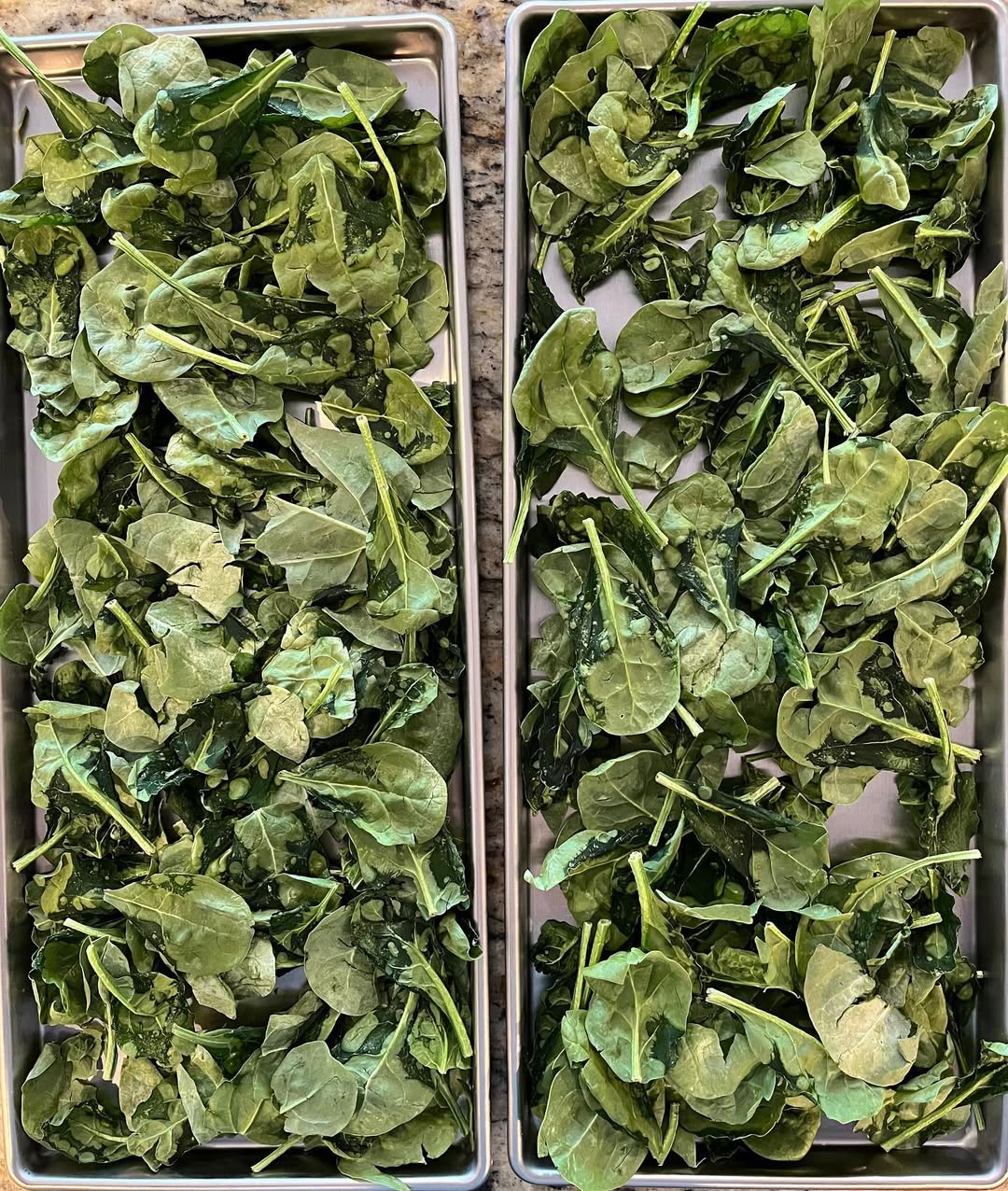 Freeze dried spinach